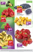 Specjalne oferty dla Ciebie