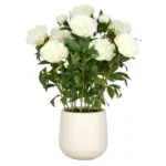 m&ouml;max Dornbirn - Ihr Trendm&ouml;belhaus in Dornbirn Kunstpflanze Peonien Creme ca. 80cm