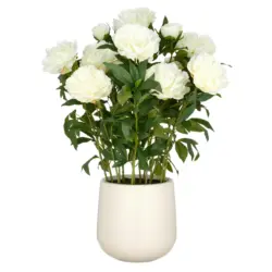 Kunstpflanze Peonien Creme ca. 80cm