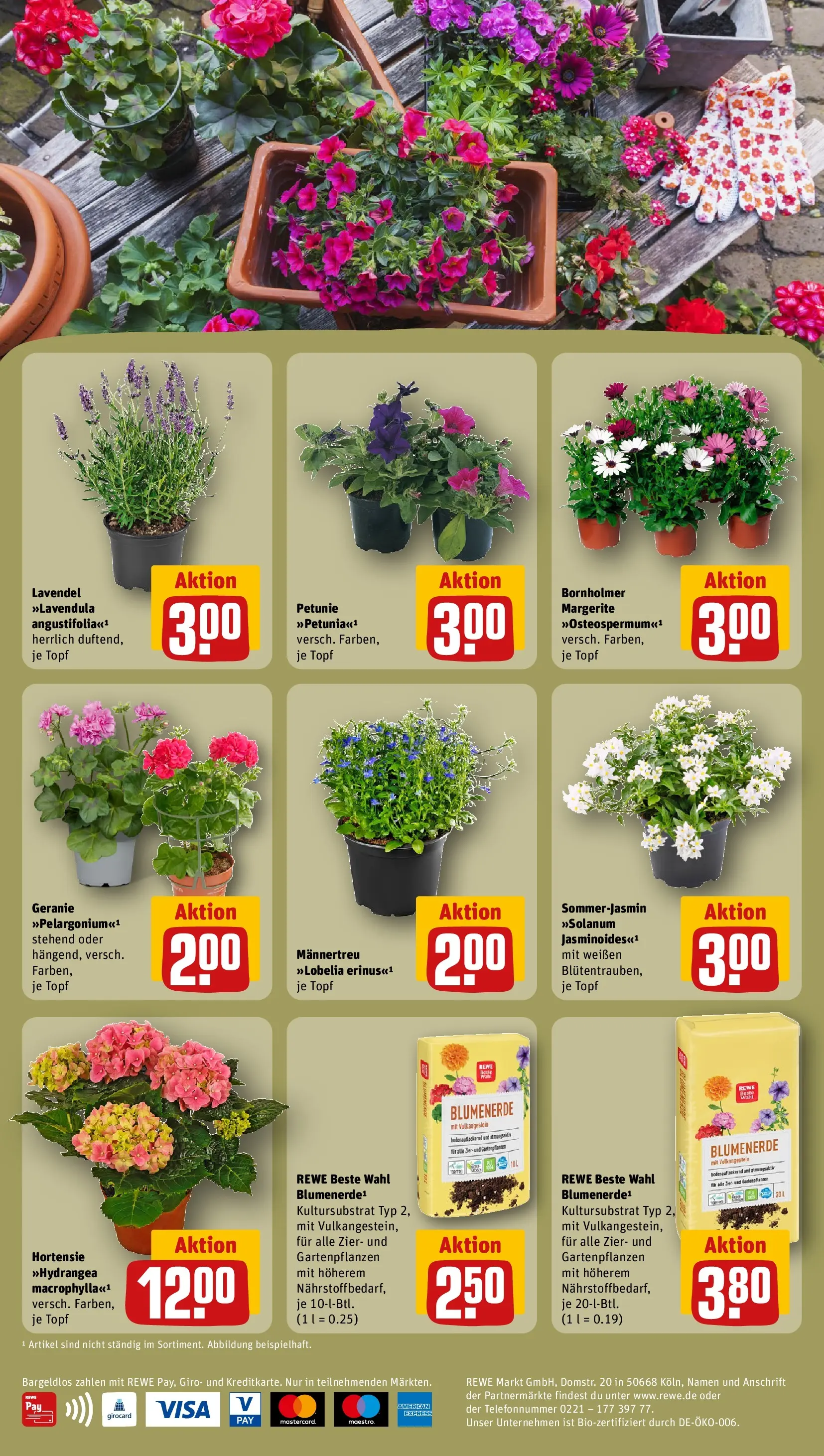 REWE Prospekt ab 04.05.2026 zum Blättern » Angebote | Seite: 4 | Produkte: Hortensie, Blumenerde, Lavendel