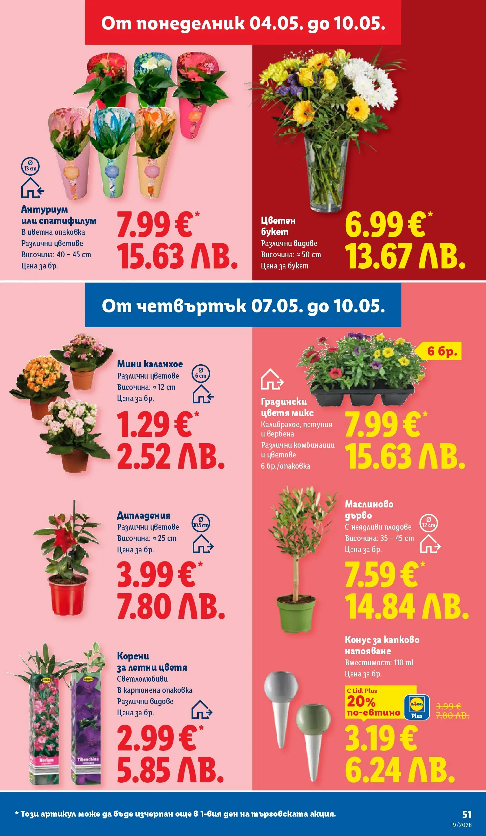Лидл брошура - Романтични предложения от 04.05.2026 | Страница: 51