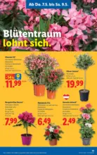 Lidl Lidl - ab 07.05.2026