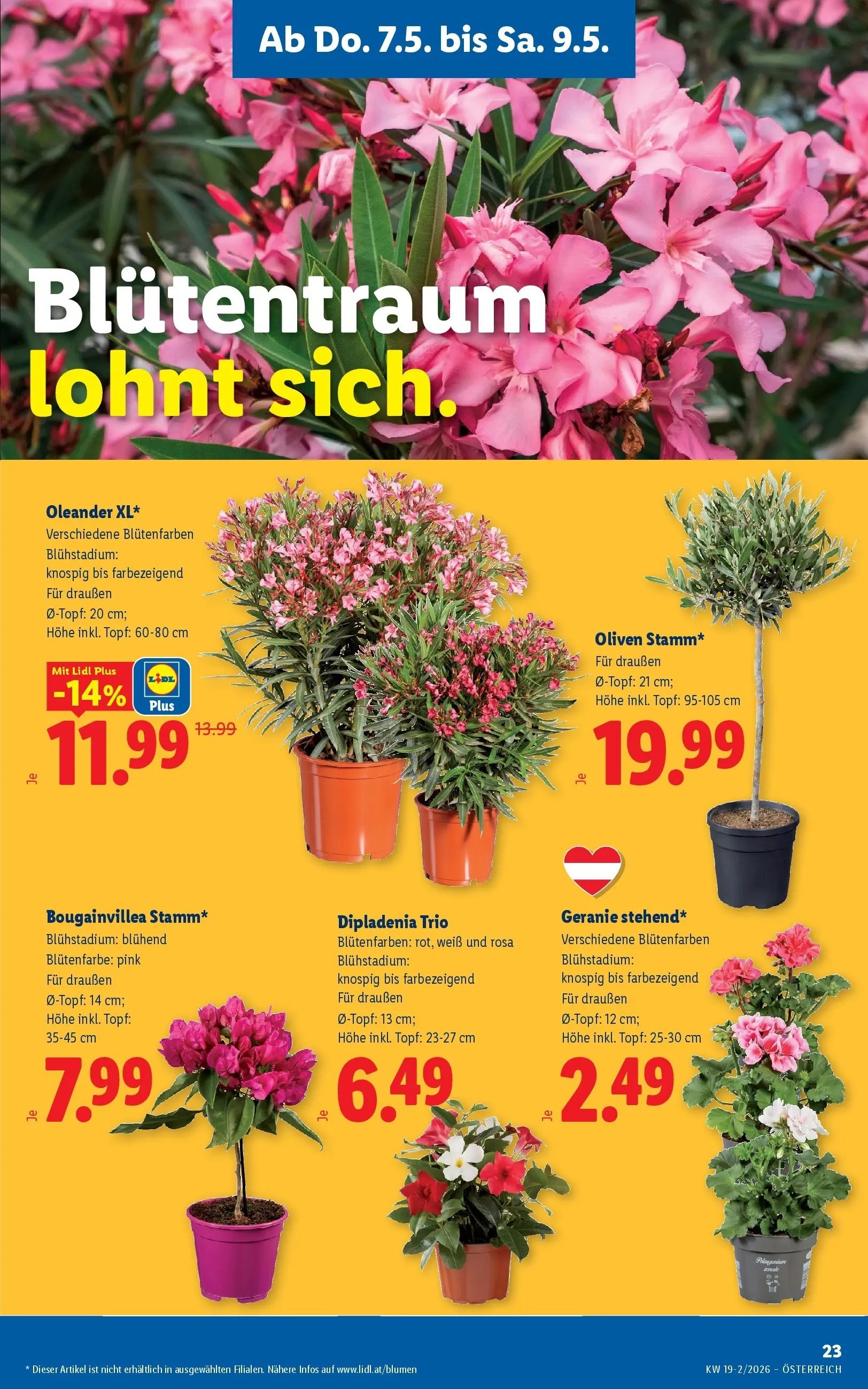 Lidl - Lidl ab 06.05.2026 - Angebote ab donnerstag | Seite: 25 | Produkte: Szeder