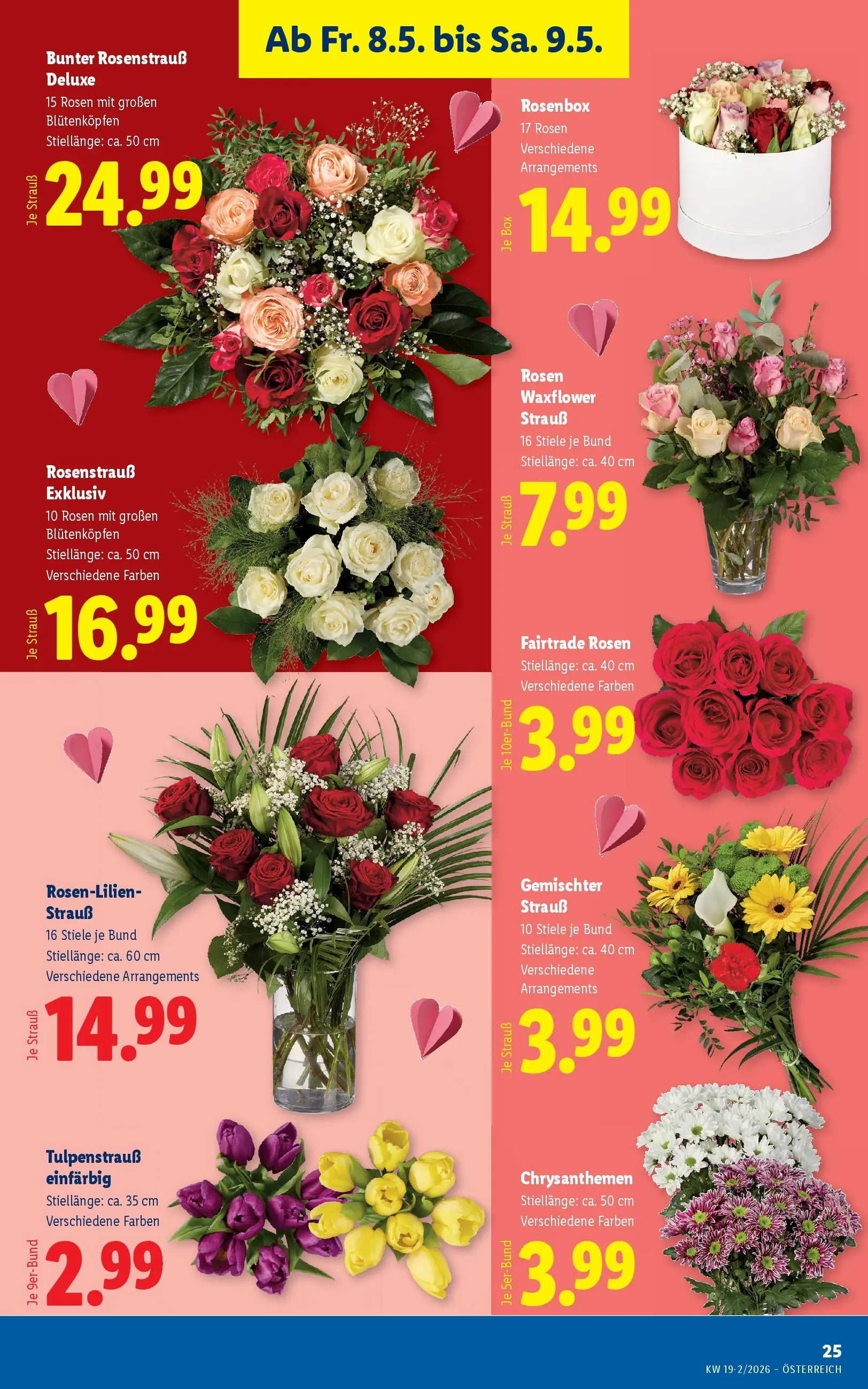 Lidl - Lidl ab 06.05.2026 - Angebote ab donnerstag | Seite: 27 | Produkte: Box
