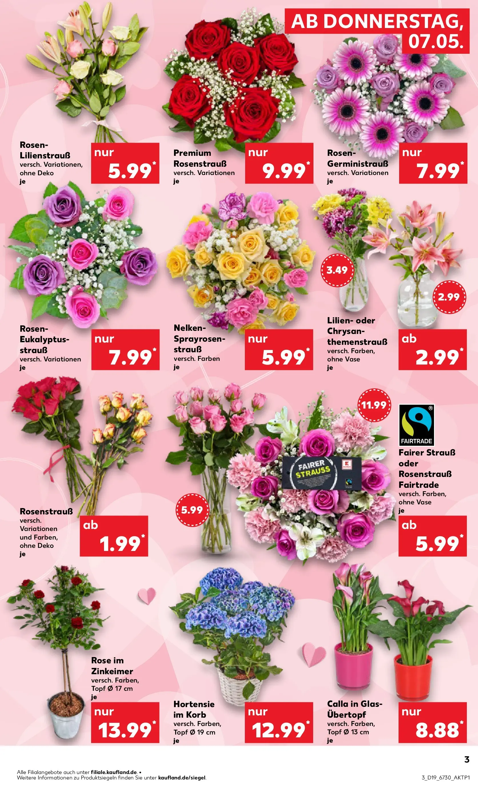 Prospekt Kaufland ab 04.05.2026 » Angebote Online zum Blättern | Seite: 8 | Produkte: Hortensie, Korb, Vase