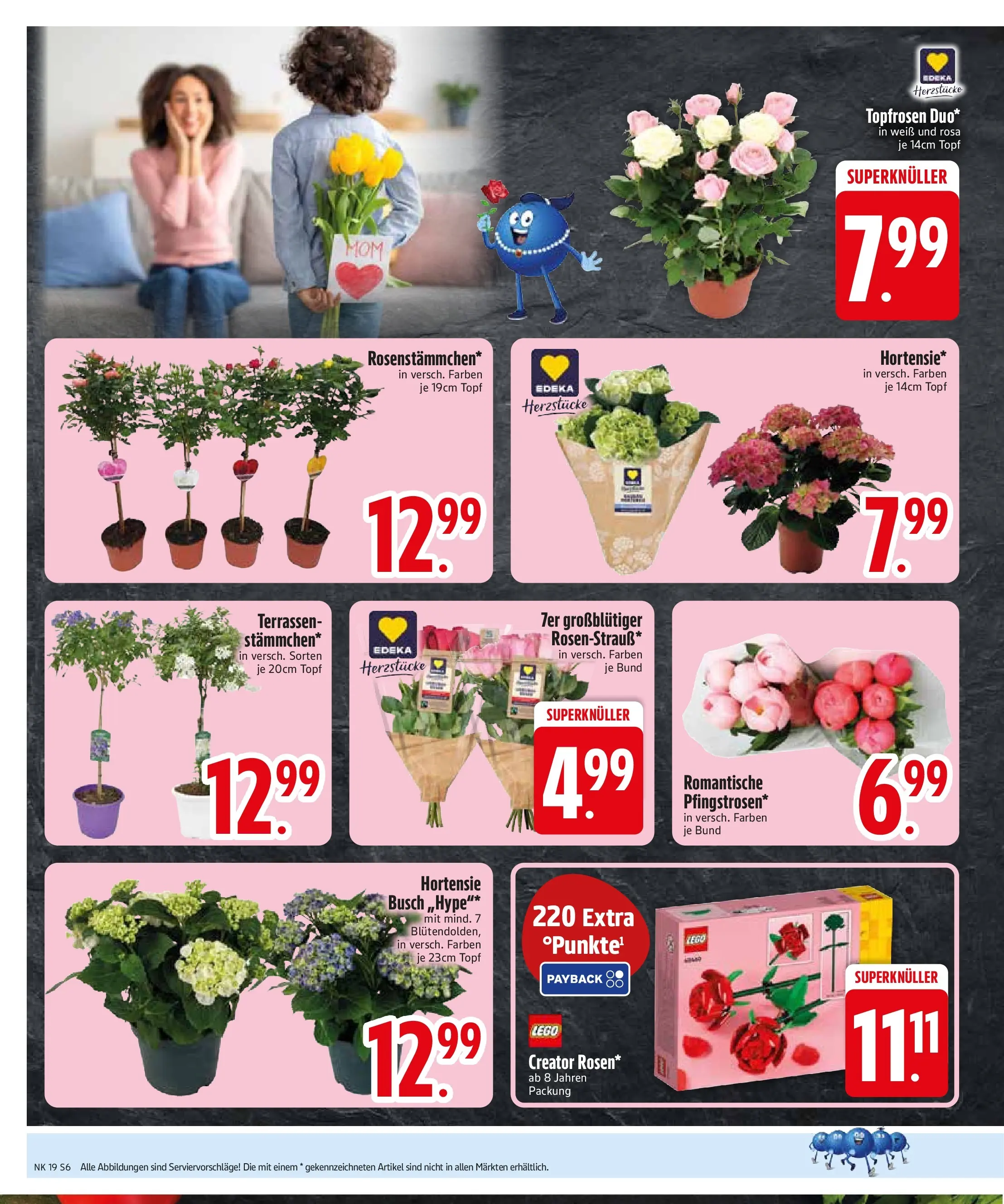 Edeka prospekt Starnberg	 (ab 03.05.2026) » Angebote Online | Seite: 8 | Produkte: Hortensie