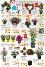 Globus Baumarkt: Wochenangebote