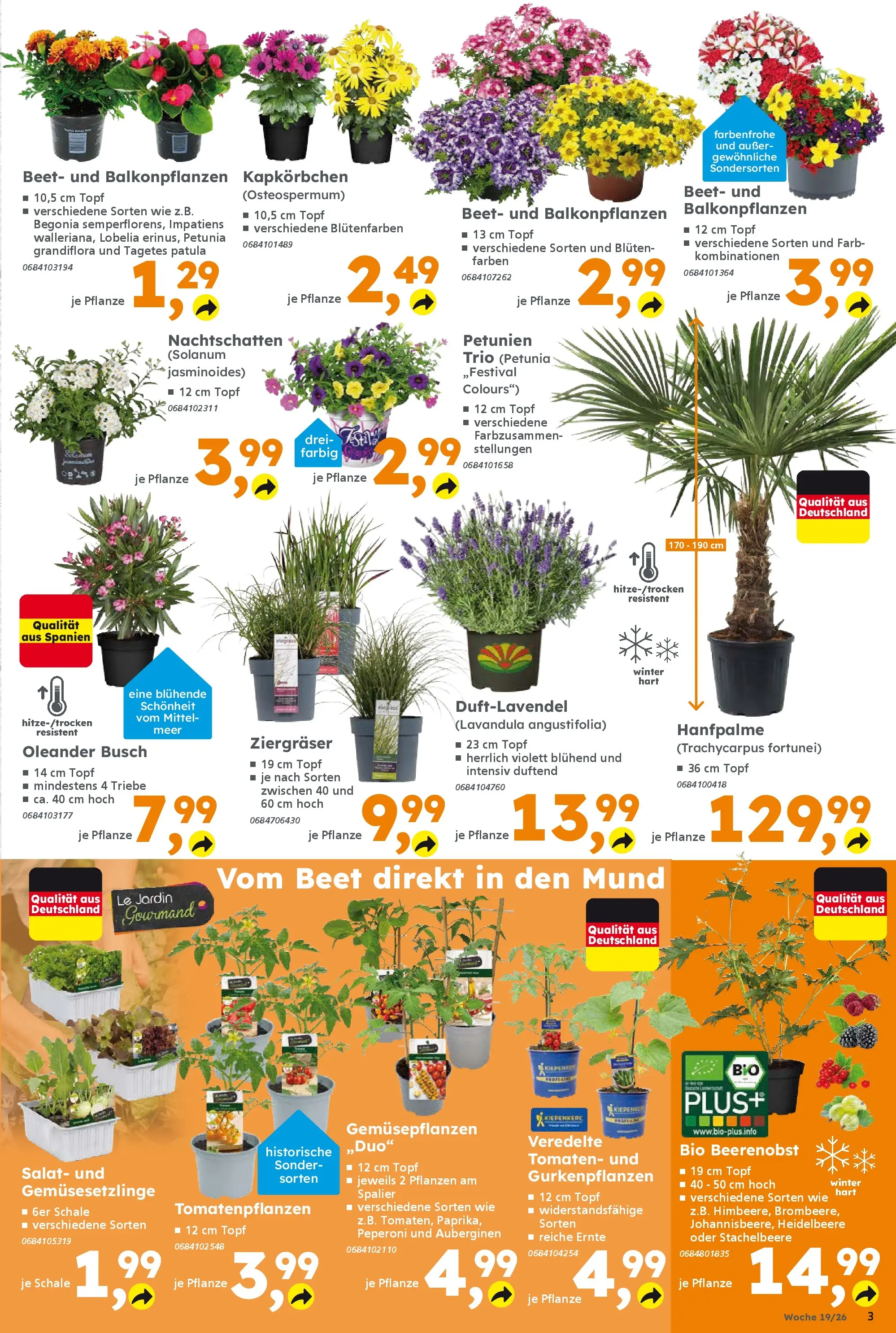 Globus Baumarkt Prospekt Forchheim	 (ab 03.05.2026) zum Blättern | Seite: 3 | Produkte: Tomaten, Salat