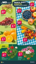 Netto APS : Wochenangebote