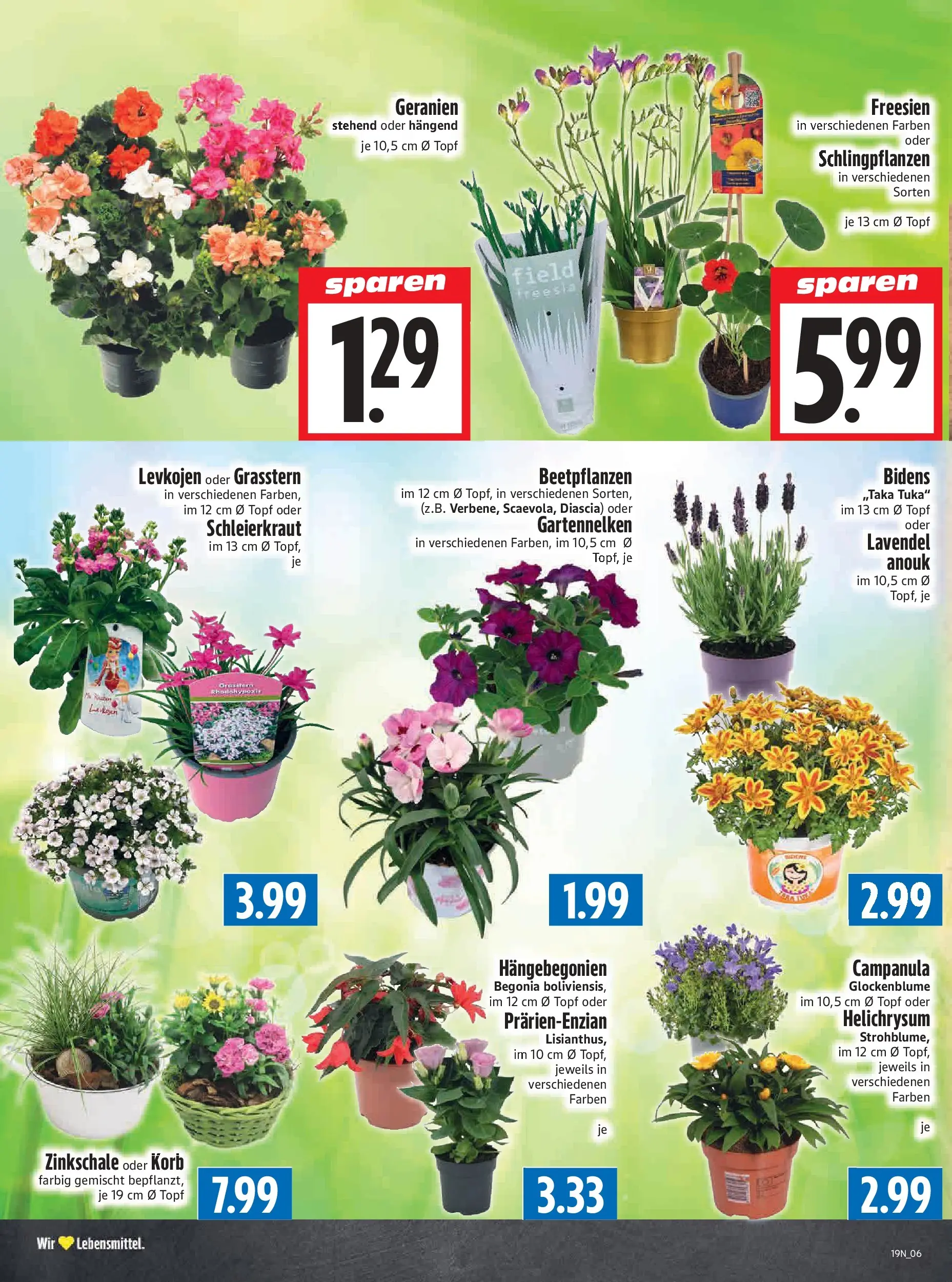 Angebote - Edeka Hahner: Wochenangebote (ab 03.05.2026) zum Blättern | Seite: 8 | Produkte: Korb, Geranien, Lavendel
