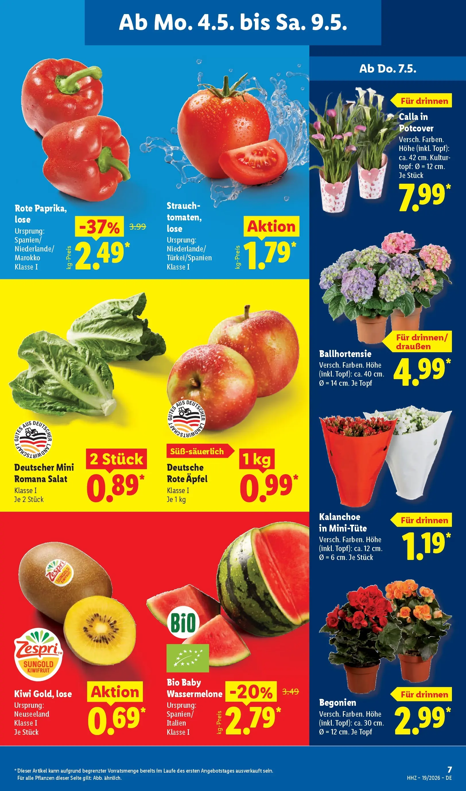 Lidl Prospekt Braunschweig (ab 04.05.2026) zum Blättern » Angebote | Seite: 11 | Produkte: Äpfel, Gemüse, Obst