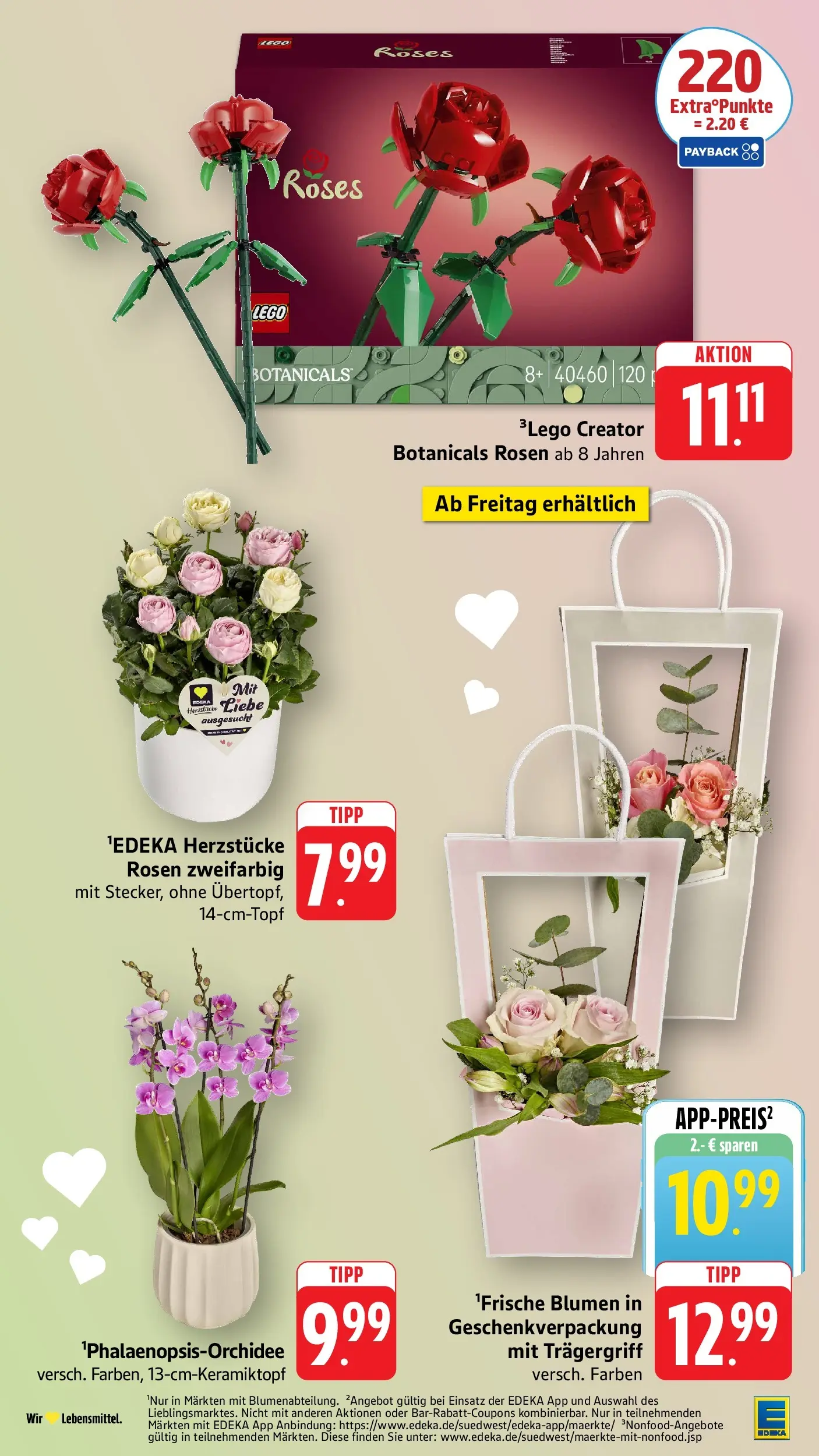 E center Prospekt Tübingen	 (ab 03.05.2026) zum Blättern | Seite: 28 | Produkte: Blumen