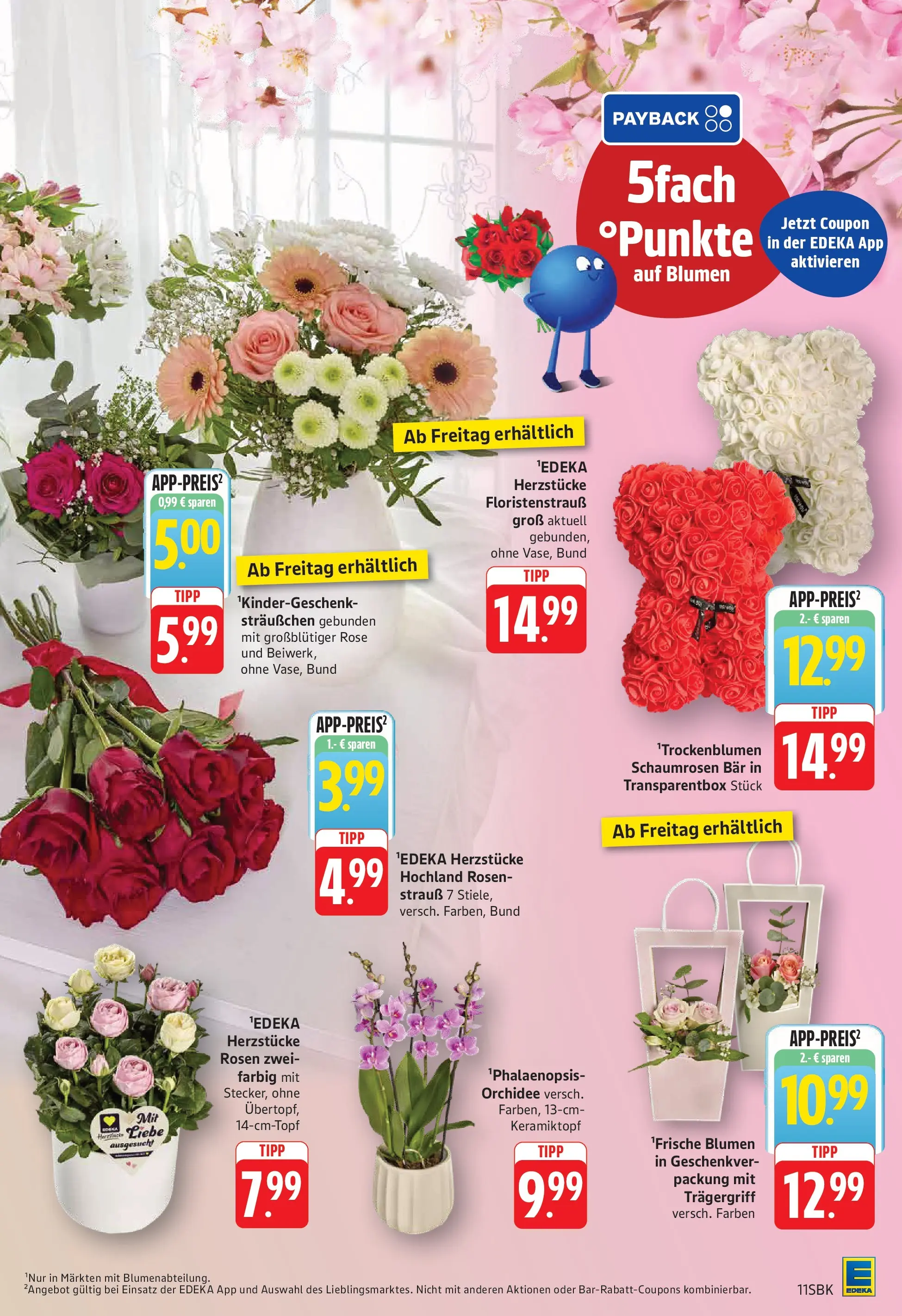 E center Prospekt Bad Bergzabern	 (ab 04.05.2026) zum Blättern | Seite: 13 | Produkte: Orchidee, Blumen