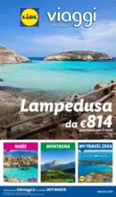 Lidl Viaggi MAGGIO 2026 - al 31.05.2026