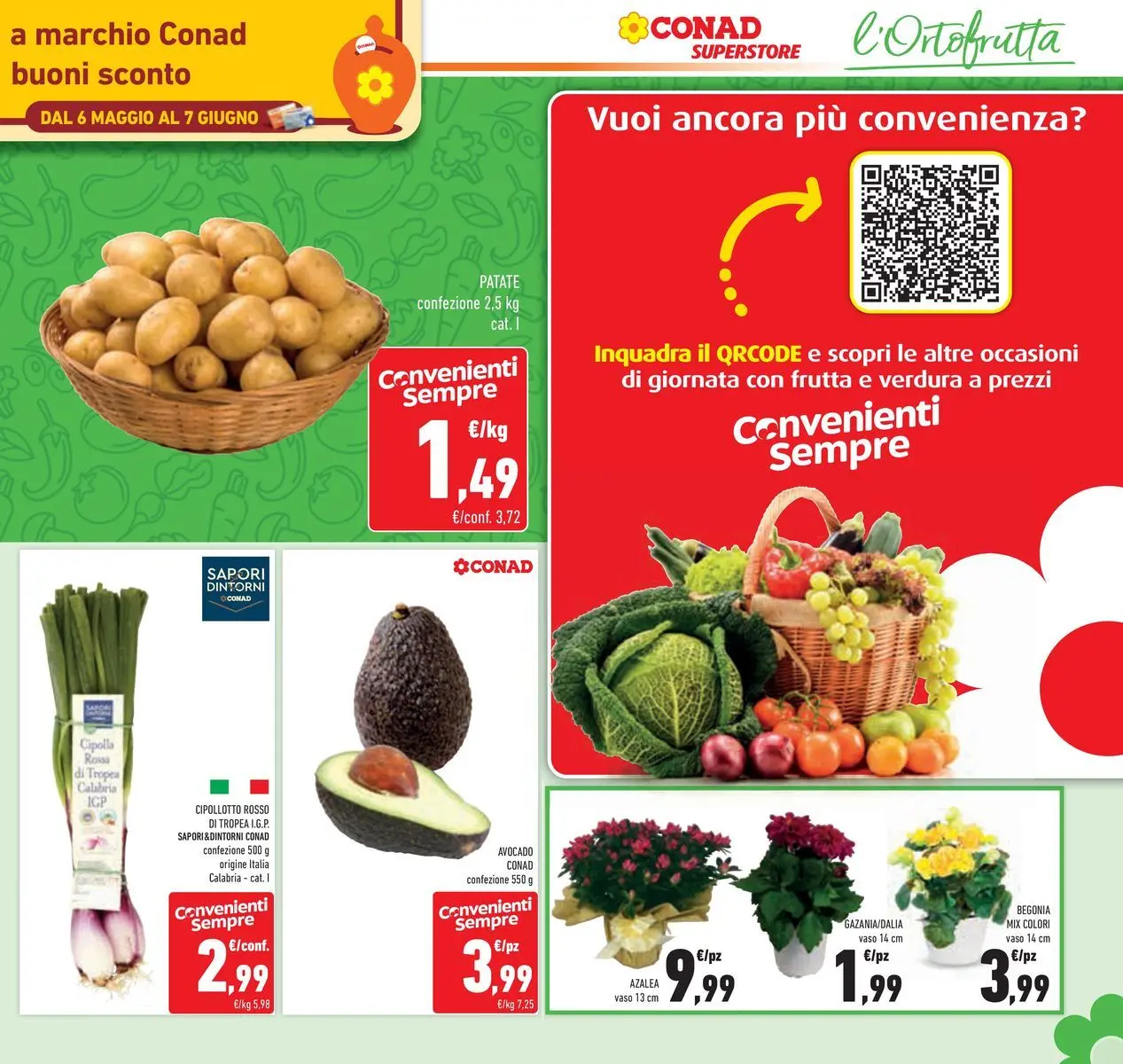 Volantino Conad dal 05/05/2026 > Anteprima | Pagina: 11
