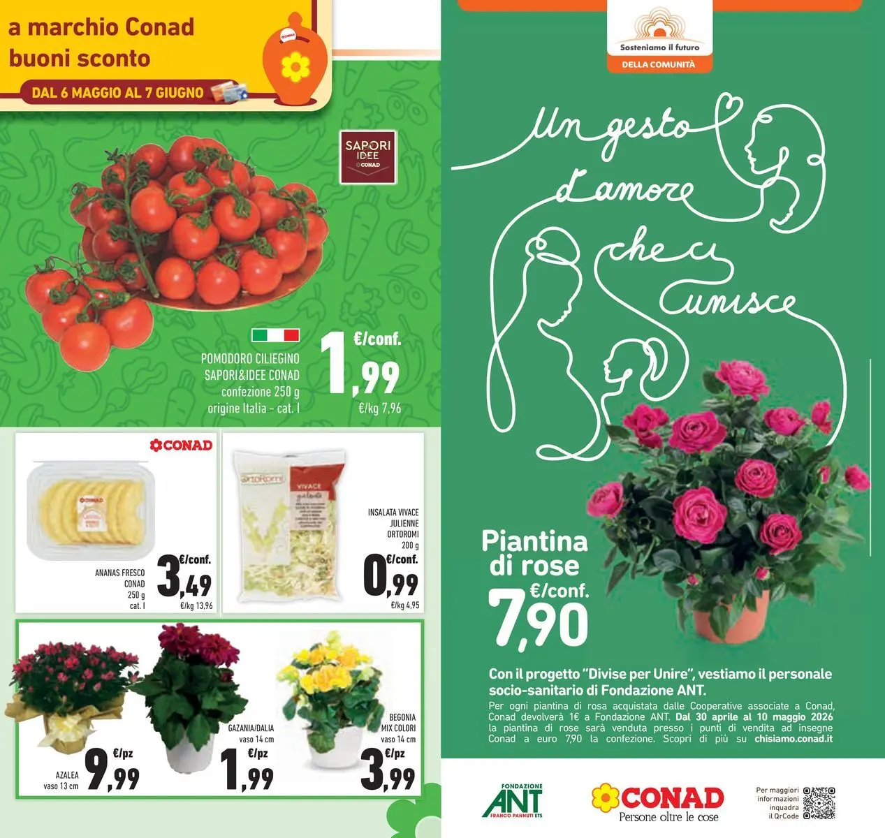 Volantino Conad dal 05/05/2026 > Anteprima | Pagina: 11