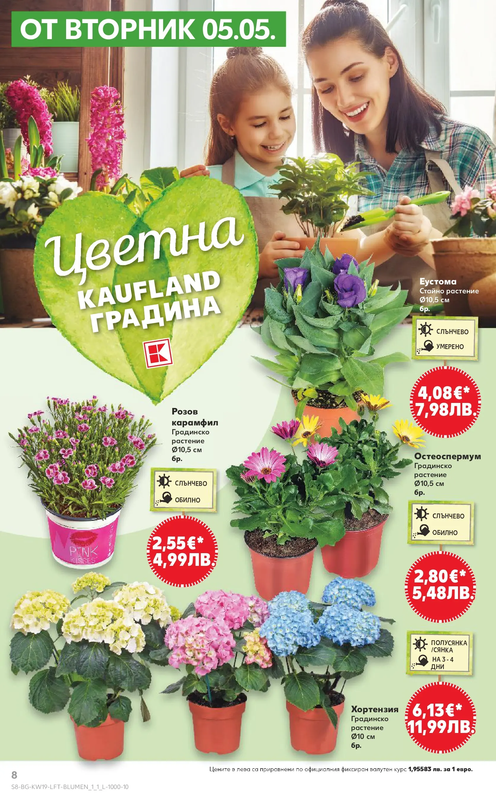 Нова Кауфланд - MEGA изгодни цени в Kaufland с валидност до 10.05.2026 от 03.05.2026 | Страница: 8 | Продукти: Карамфил