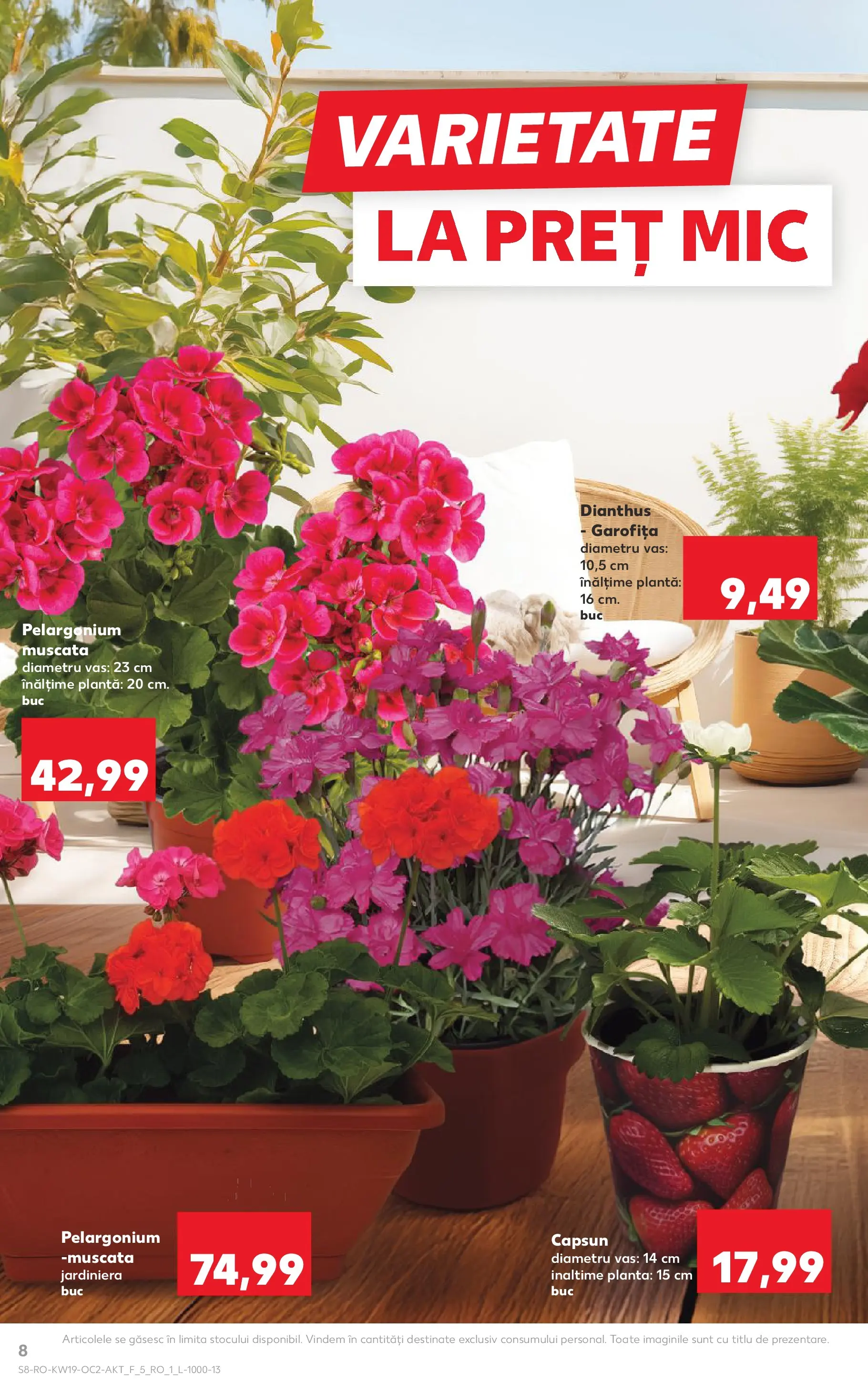 Kaufland Domnesti 06.05.2026 - Revista si Oferta | Pagină: 8