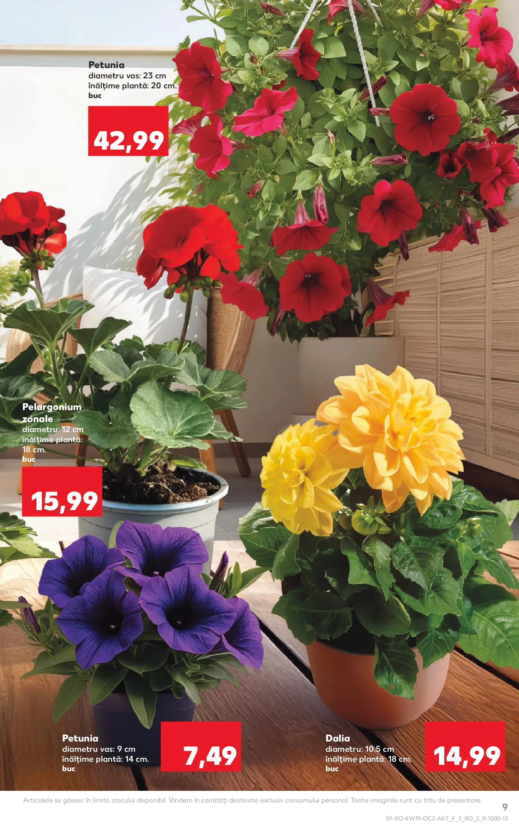 Kaufland Domnesti 06.05.2026 - Revista si Oferta | Pagină: 9
