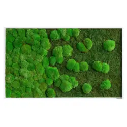 Moosbild Stylegreen
