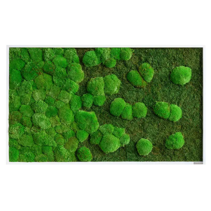 Moosbild Stylegreen