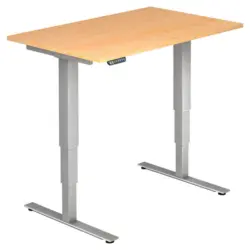 Schreibtisch 120/80/63,5-128,5 cm Silberfarben, Ahornfarben elektrisch h&ouml;henverstellbar