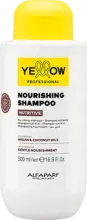 dm Șampon nutritiv pentru părul vopsit