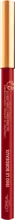 dm Color Riche creion de buze