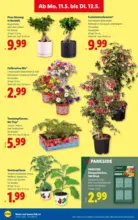 Lidl Lidl - ab 07.05.2026