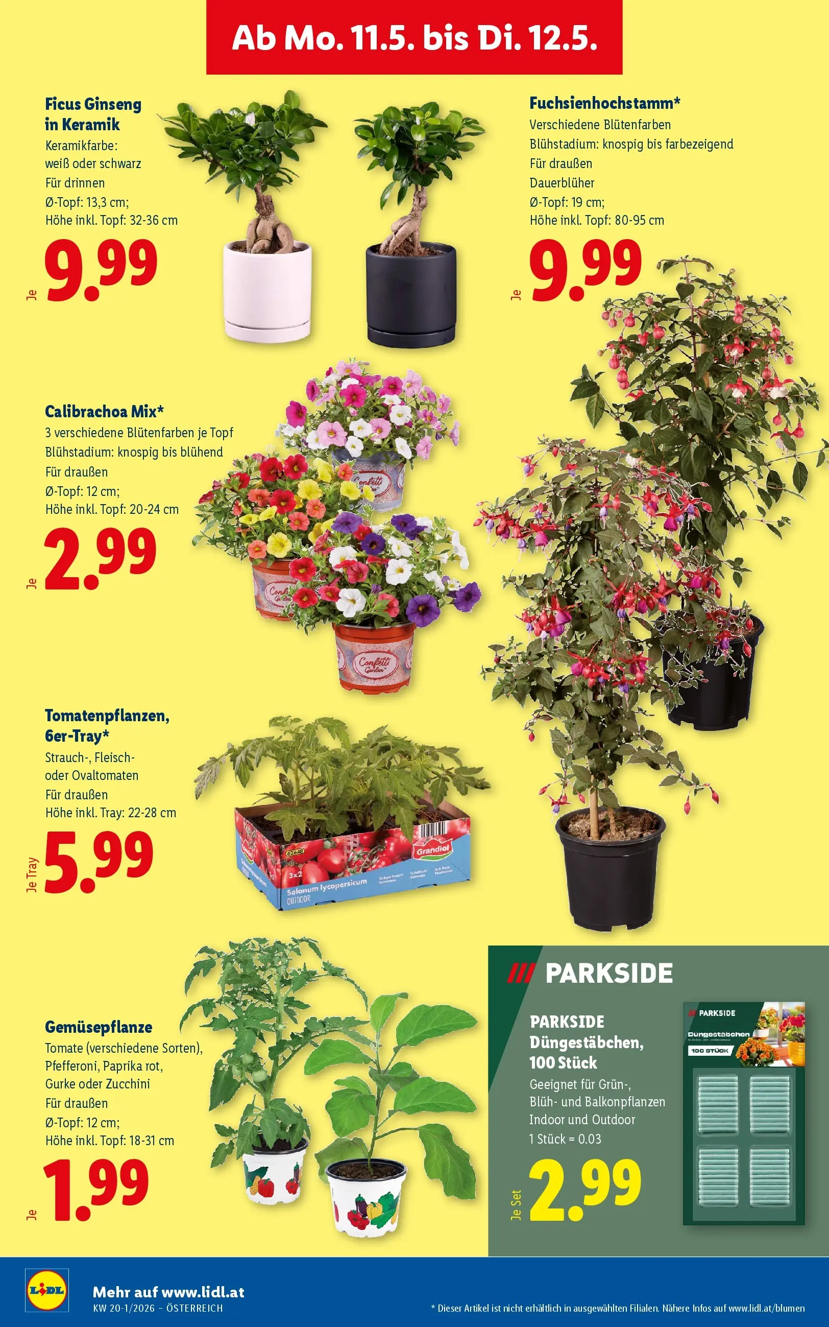 Lidl - Lidl ab 06.05.2026 - Angebote ab donnerstag | Seite: 31
