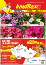 Baumax Baumax let&aacute;k &ndash; do 31.05.2026