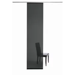 Fl&auml;chenvorhang in Schwarz transparent
