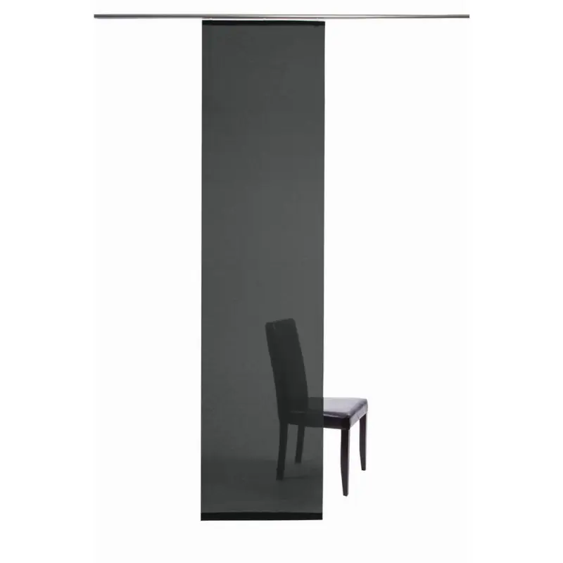 Fl&auml;chenvorhang in Schwarz transparent