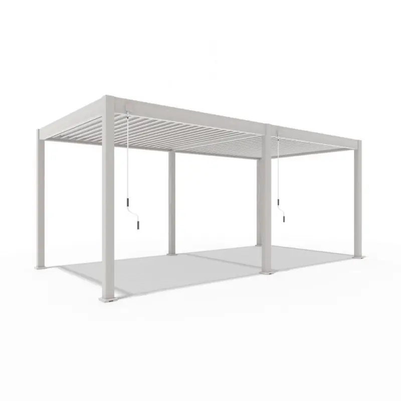 Pergola 300/600/255 cm