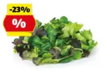 HOFER HOFER MARKTPLATZ Bio-Pfl&uuml;cksalat, 125 g