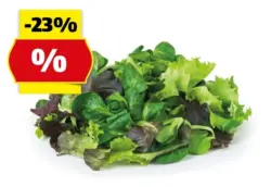 HOFER MARKTPLATZ Bio-Pfl&uuml;cksalat, 125 g