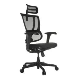 Drehstuhl Ergohuman Slim Eco M Gen2 Schwarz