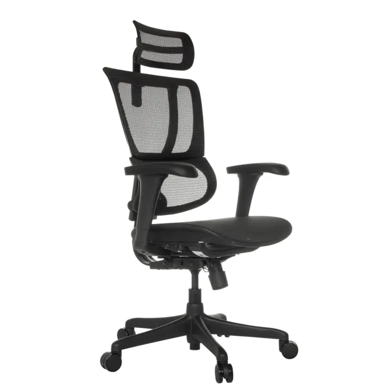 Drehstuhl Ergohuman Slim Eco M Gen2 Schwarz