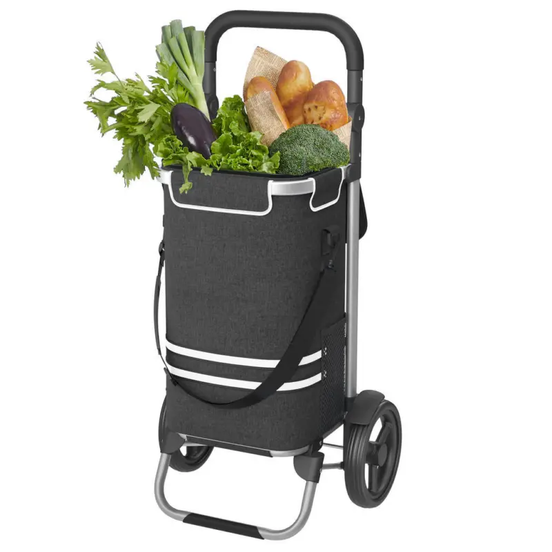 Einkaufstrolley