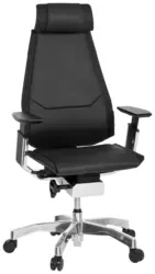Drehstuhl Genidia Pro Schwarz ca. 57x119x46cm