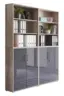 Aktenschrank Office Edition Sw Set 11 Sonoma Eiche/Anthrazit