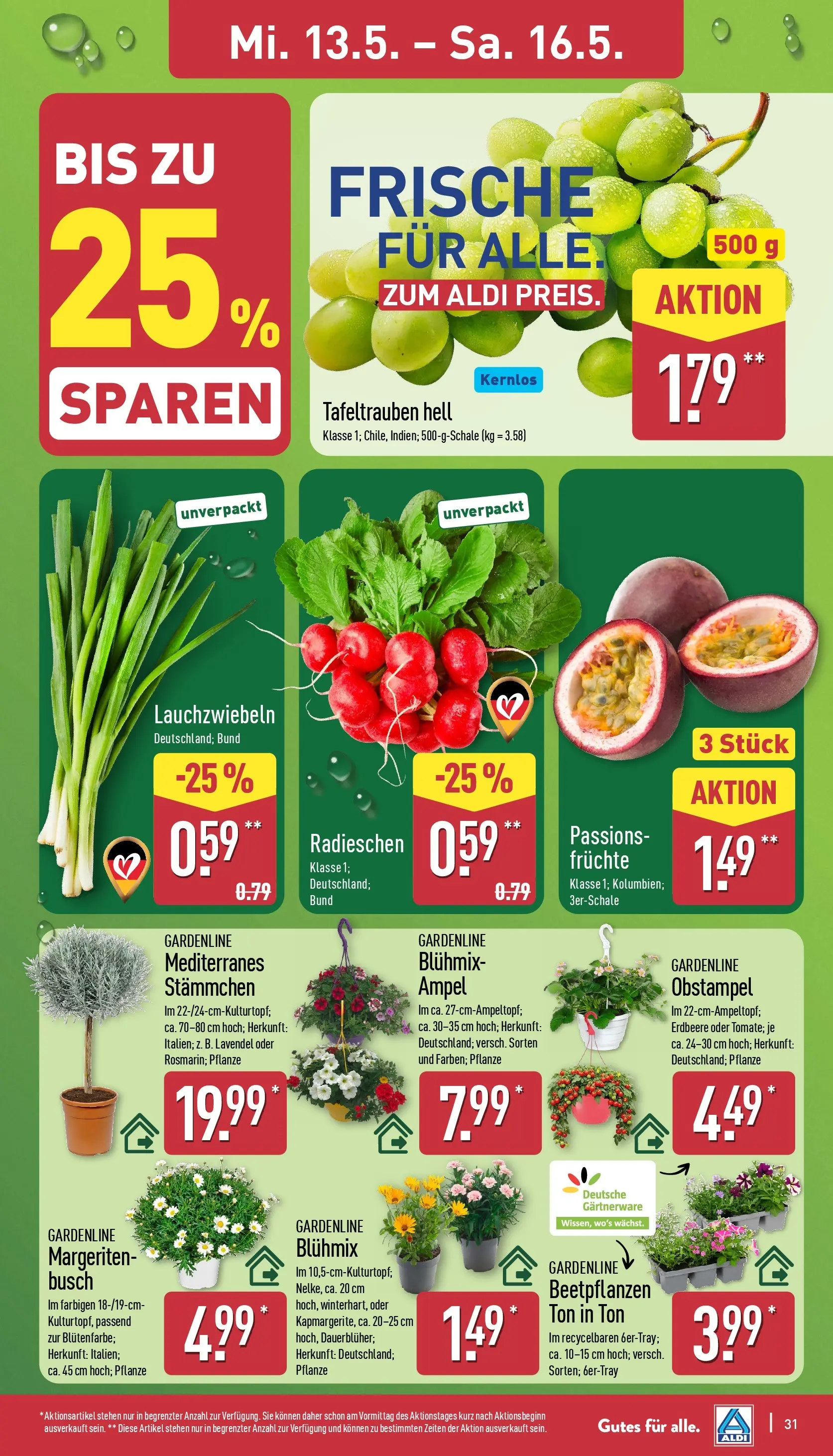 Aldi - ALDI Nord: Wochenangebote (ab 10.05.2026) » Angebote Online | Seite: 31 | Produkte: Lavendel