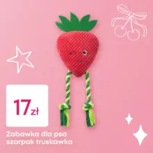 Specjalne oferty dla Ciebie
