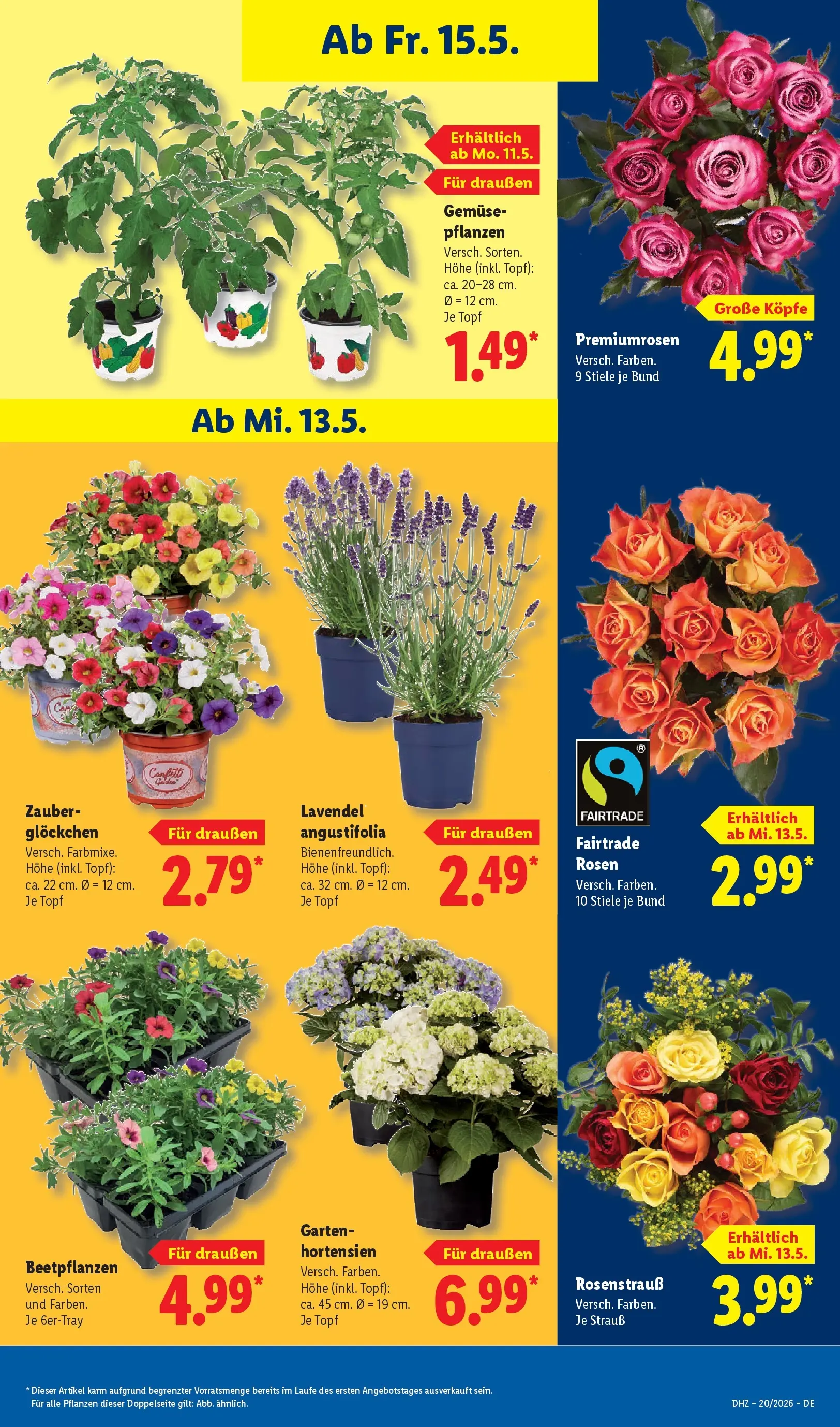 Lidl Prospekt Wahlstedt (ab 11.05.2026) zum Blättern » Angebote | Seite: 75 | Produkte: Gemüse, Lavendel
