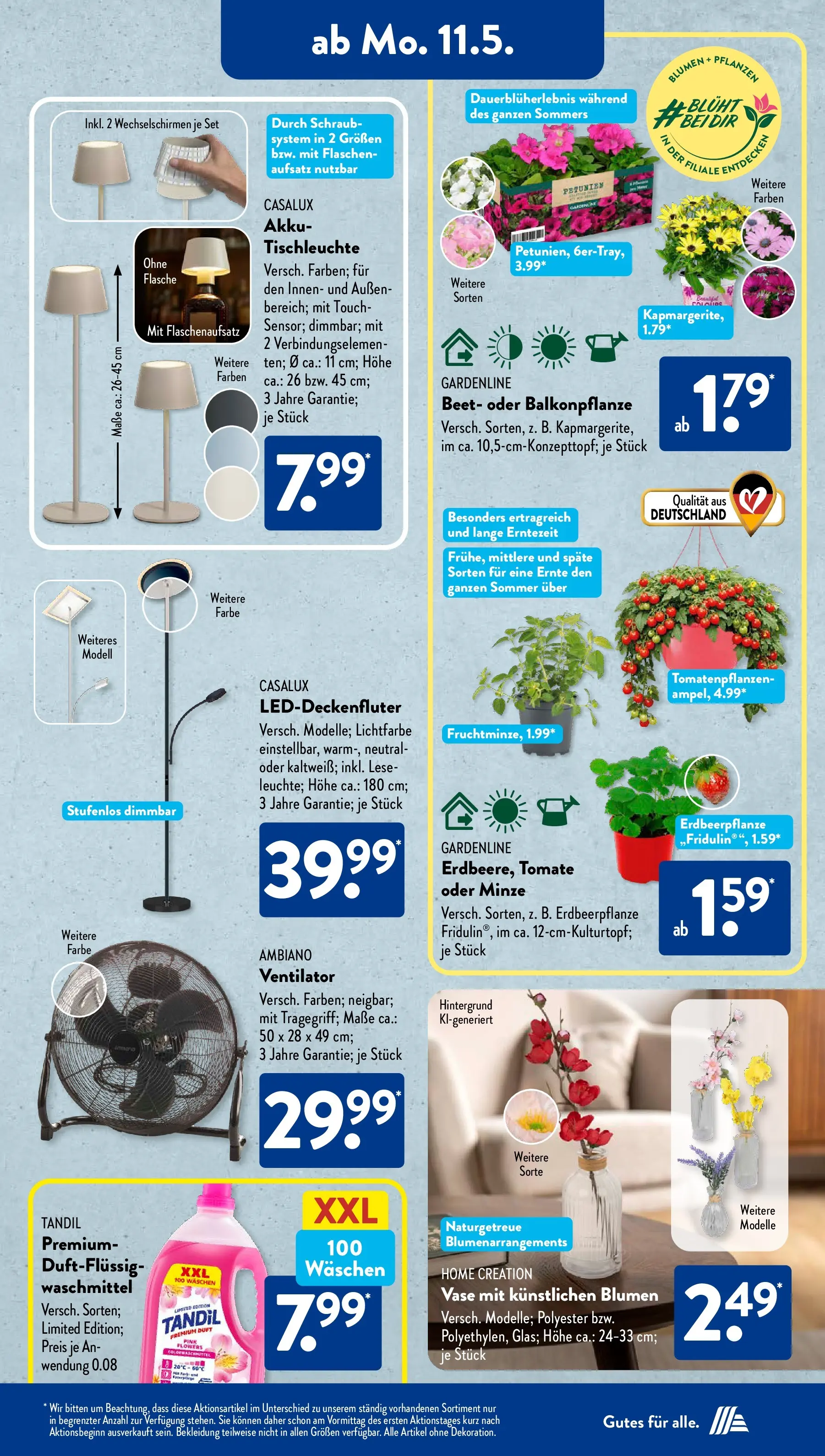 Aldi Süd - Aldi Süd: Wochenangebote (ab 10.05.2026) zum Blättern | Seite: 14 | Produkte: Blumen, Vase, Bekleidung, Home creation