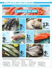 TRAFIC POUVOIR ACHAT 4 - MIXTE