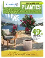 E.Leclerc PLANTES MEDITERRANEENNES - au 16.05.2026