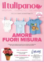 Il Tulipano Amore fuori misura - al 27.05.2026