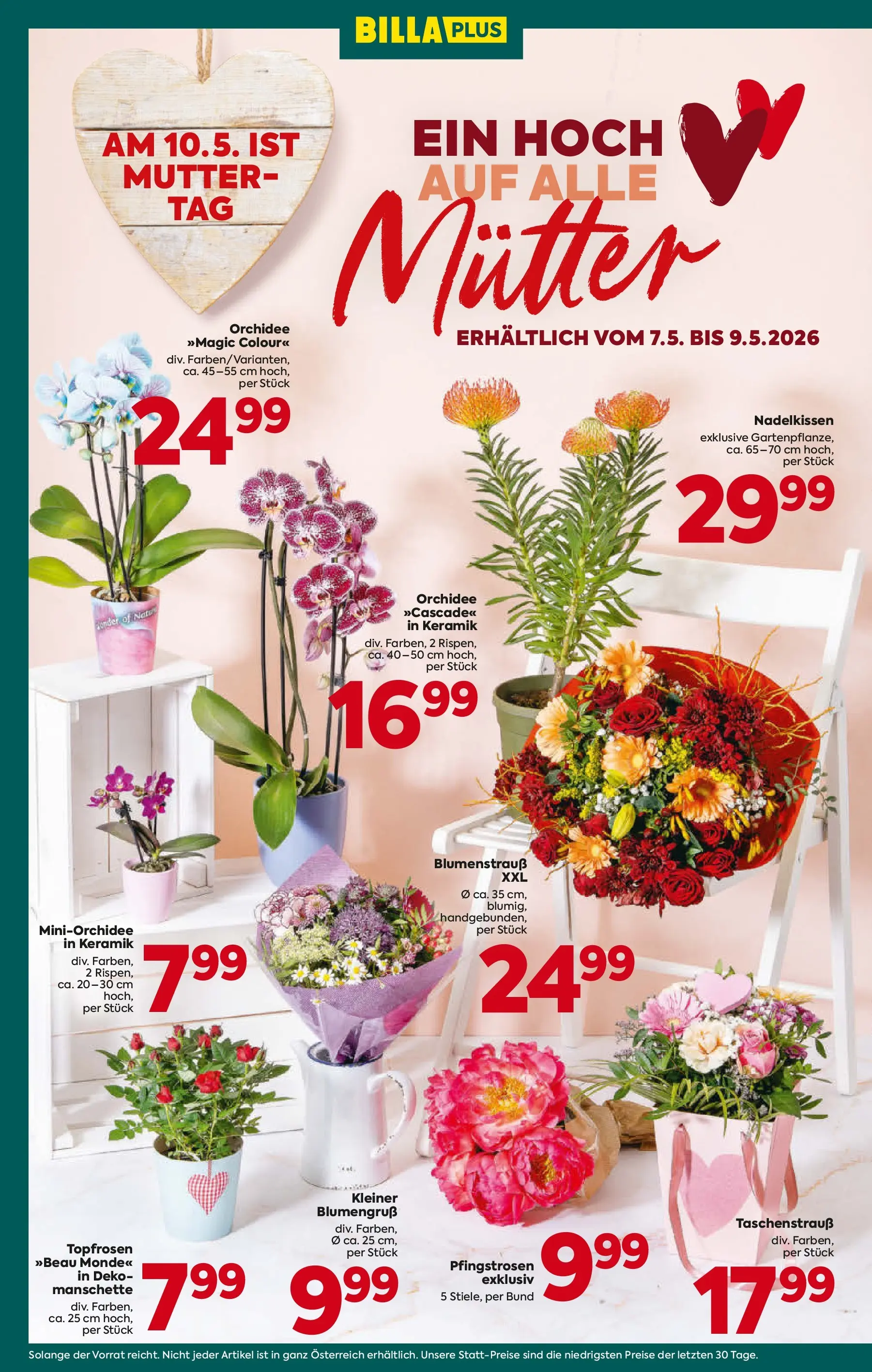Billa Plus - BILLA PLUS: Flugblatt Niederösterreich von 06.05.2026 - Aktuelle Angebote | Seite: 6
