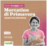 Mongolfiera - Japigia Mercatino di Primavera - al 10.05.2026